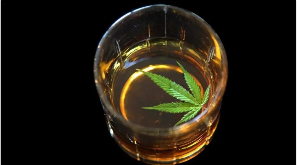How does CBD work in combination with alcohol?