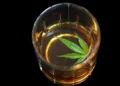 How does CBD work in combination with alcohol?